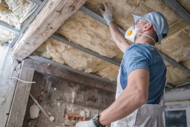 Best Specialized Insulation Services in Moosup, CT